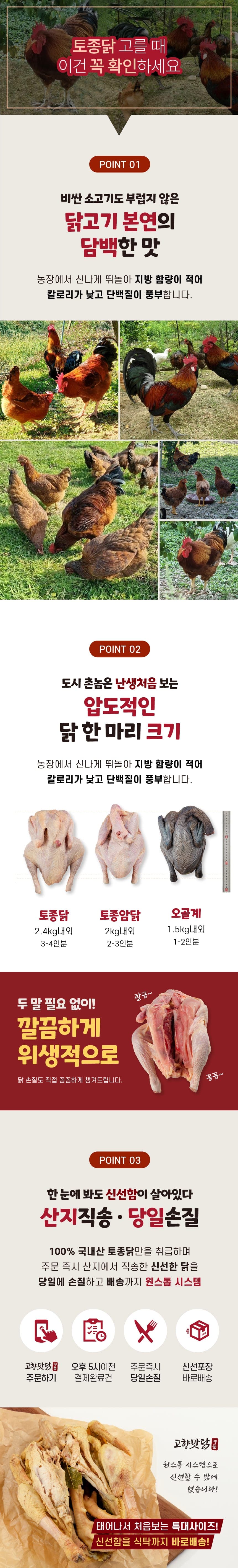 고향맛닭 생닭 상세페이지 4